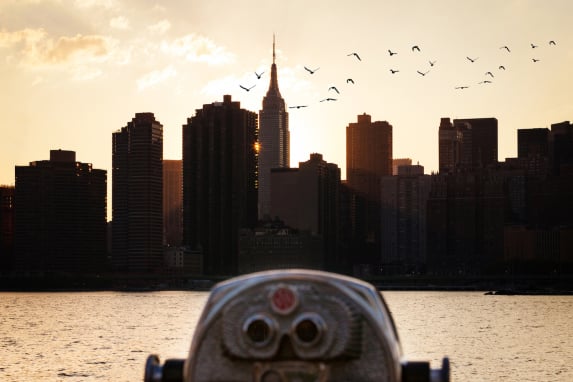 New York City’s Bird Legislation Marks Long-Term Conservation Efforts